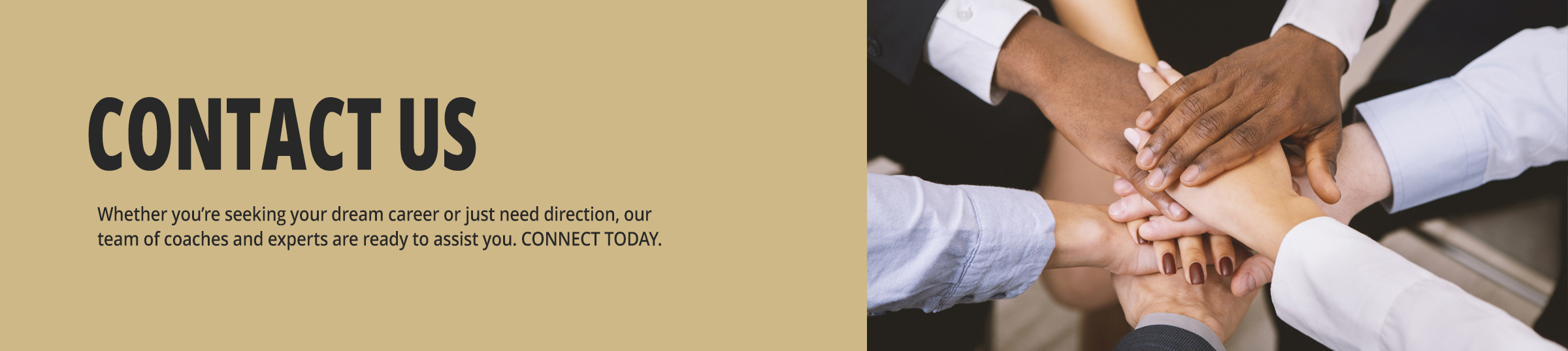 Contact Us